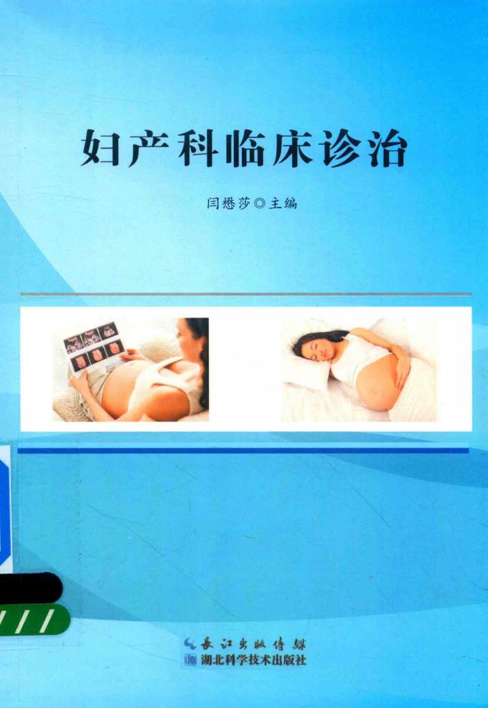 妇产科临床诊治 封面