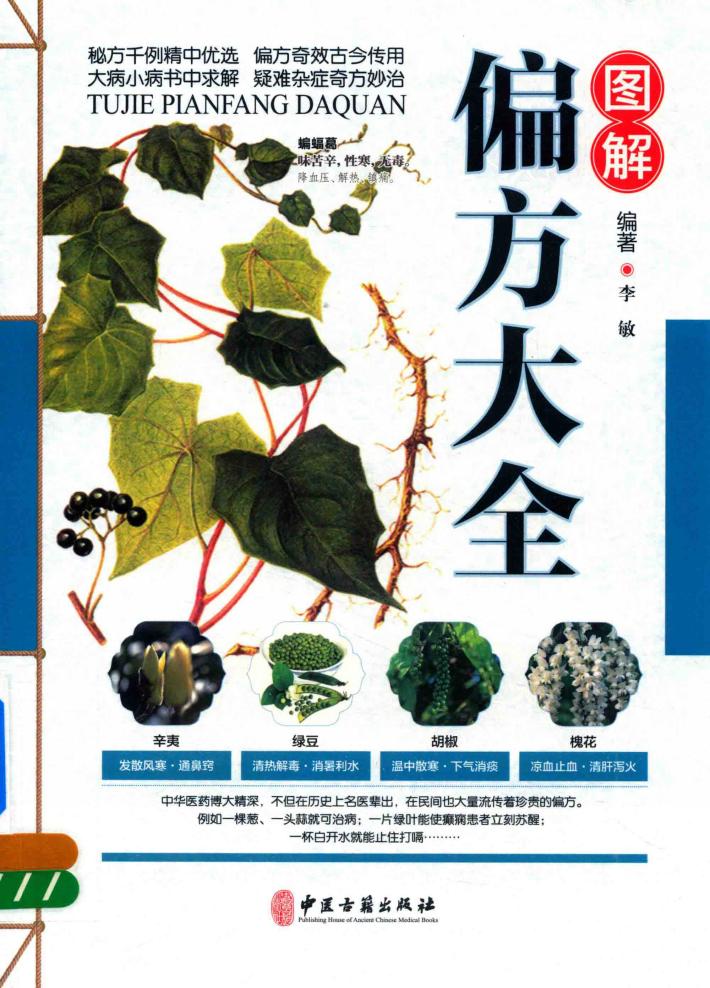 图解偏方大全 封面