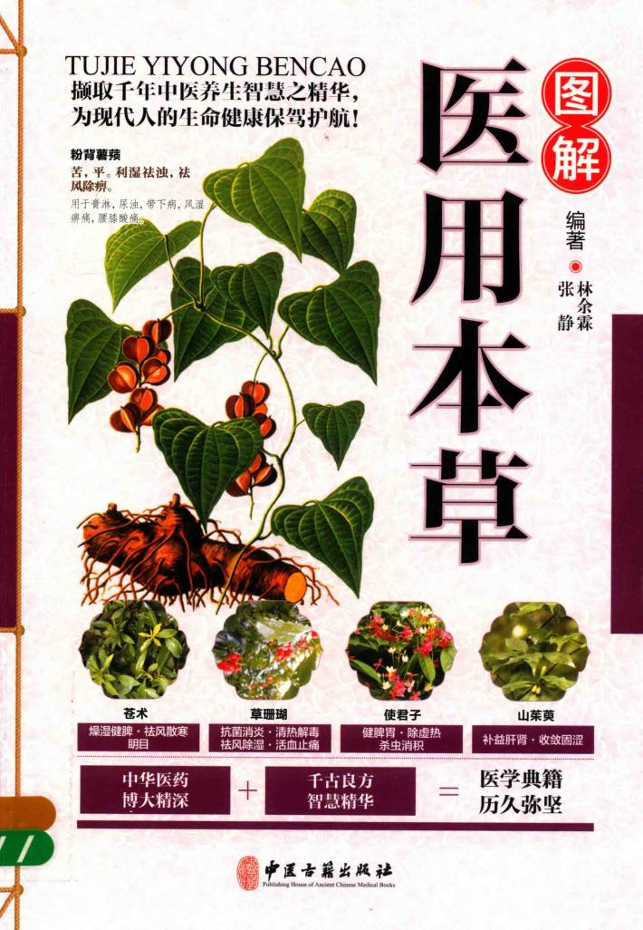 图解医用本草 封面