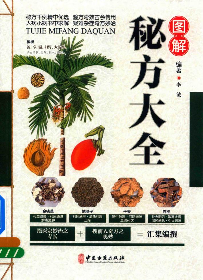图解秘方大全 封面