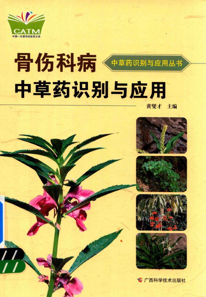 骨科伤病中草药识别与应用 封面