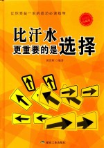 比汗水更重要的是选择  珍藏版 封面