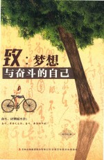 致  梦想与奋斗的自己 封面