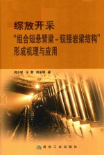 综放开采组合短悬臂梁  铰接岩梁结构形成机理与应用 封面