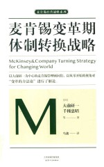 麦肯锡变革期体制转换战略 封面