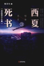 西夏死书  3 封面