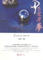 甲子黑金梦 封面