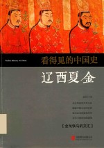 看得见的中国史  辽西夏金 封面