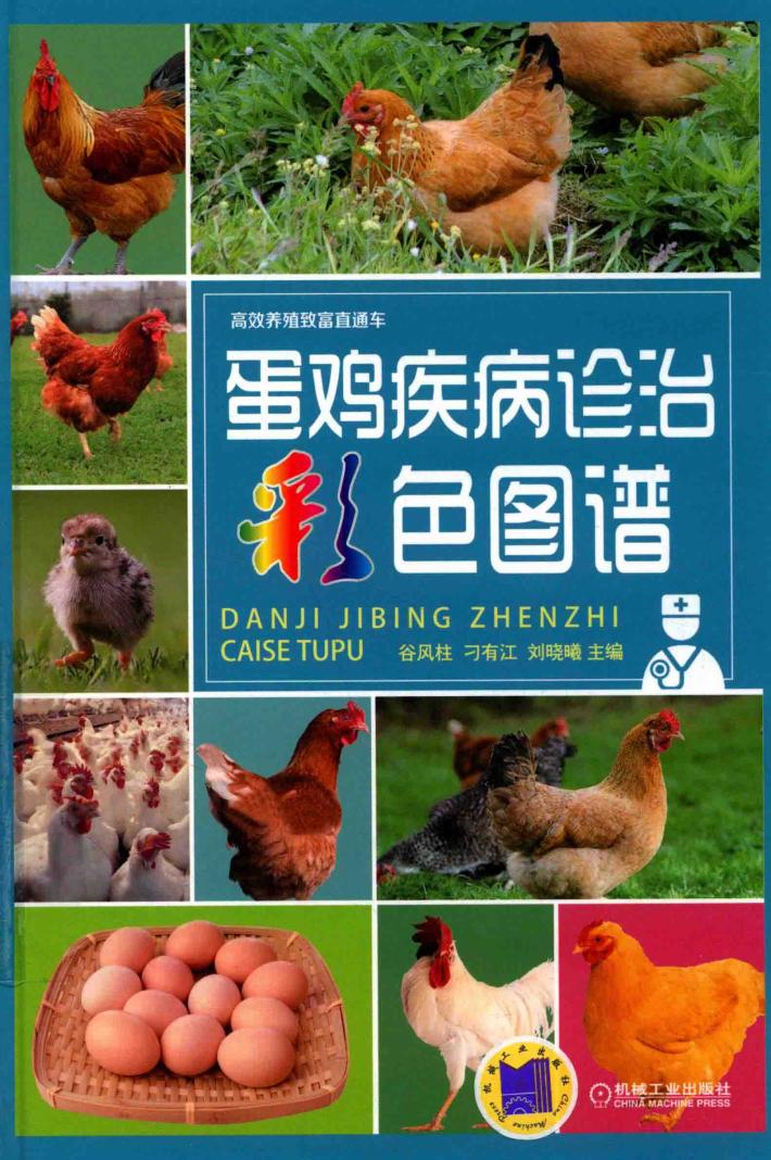 蛋鸡疾病诊治彩色图谱 封面
