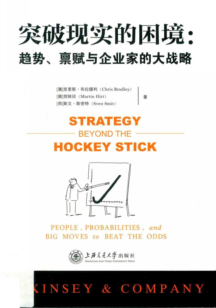 突破现实的困境  趋势、禀赋与企业家的大战略 封面