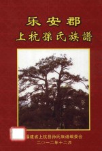 乐安郡福建省上杭县孙氏族谱 封面