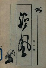 沱风  第1集 封面