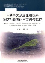 上扬子区龙马溪组页岩微观孔缝演化与页岩气赋存 封面