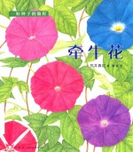 牵牛花 封面