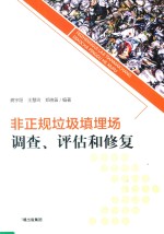 非正规垃圾填埋场调查  评估和修复 封面
