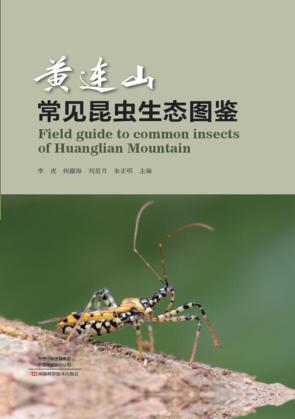 黄连山常见昆虫生态图鉴 封面