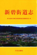 新碧街道志 电子书封面
