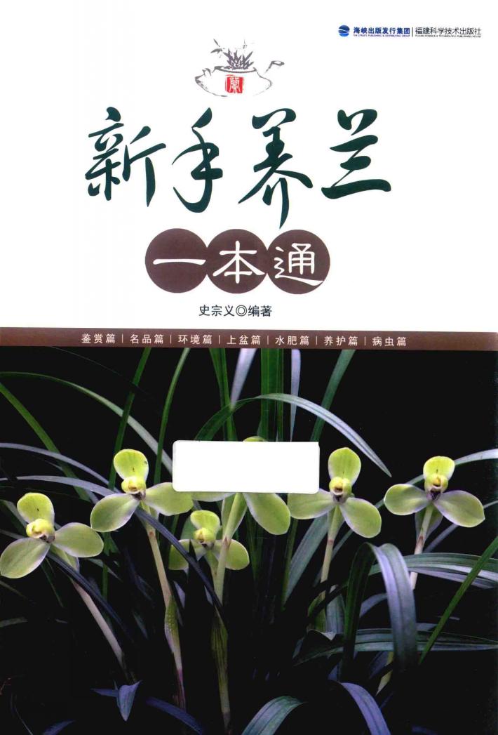 新手养兰一本通 封面