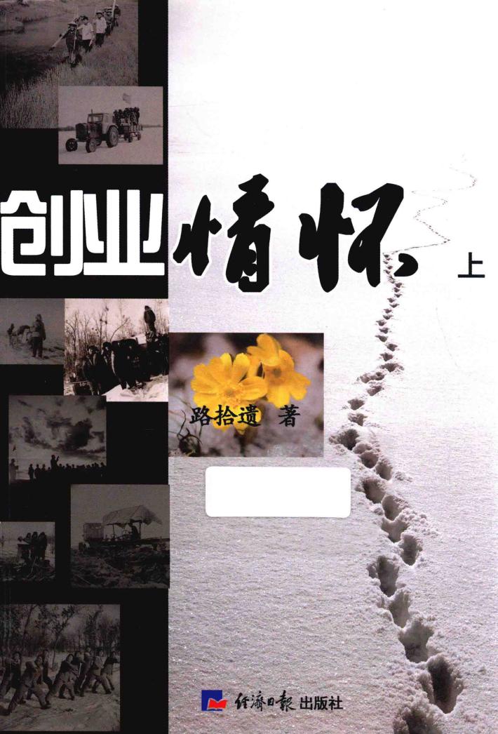 创业情怀  上 封面