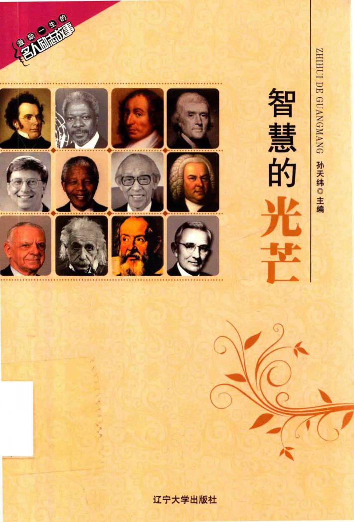 智慧的光芒 封面