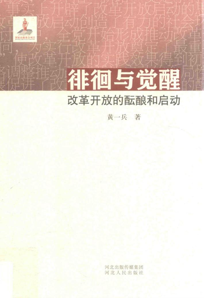 徘徊与觉醒  改革开放的酝酿和启动 封面