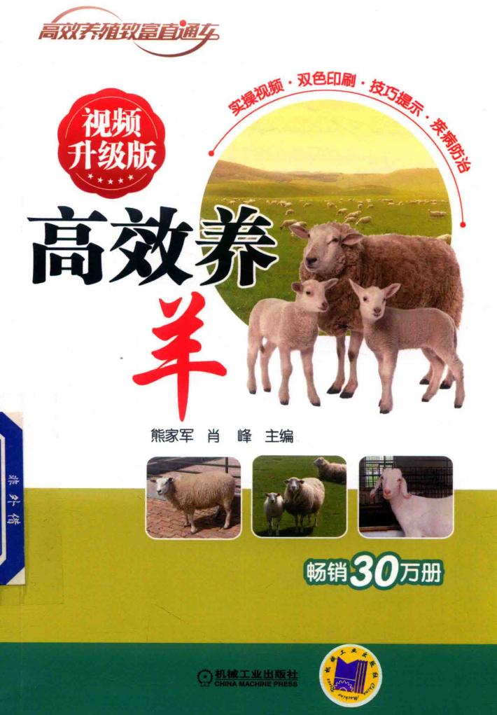 高效养羊  视频升级版 封面
