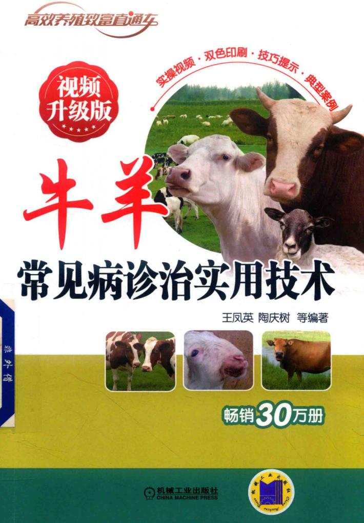 牛羊常见病诊治实用技术  视频升级版 封面