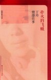 扑火的飞蛾  丁玲情感往事 封面