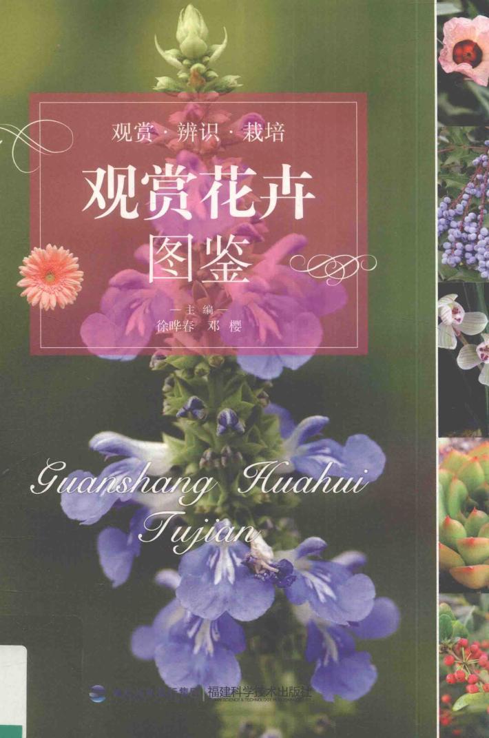 观赏花卉图鉴 封面