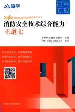 消防安全技术综合能力  王道七 封面