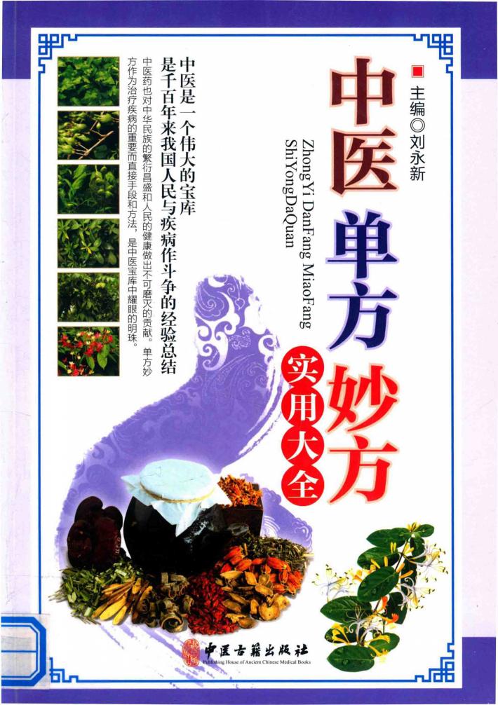 中医单方妙方实用大全 封面