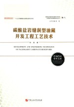 碳酸盐岩缝洞型油藏开发工程工艺技术 封面
