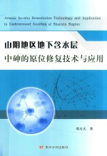 山阴地区地下含水层中砷的原位修复技术与应用 封面
