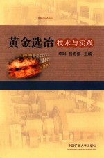 黄金选冶技术与实践 封面