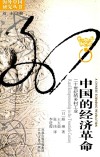 中国的经济革命 20世纪的乡村工业 封面