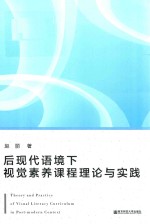 后现代语境下视觉素养课程理论与实践 封面