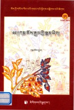 藏医药经典文献集成 108 噶玛却杰医著 藏文 封面