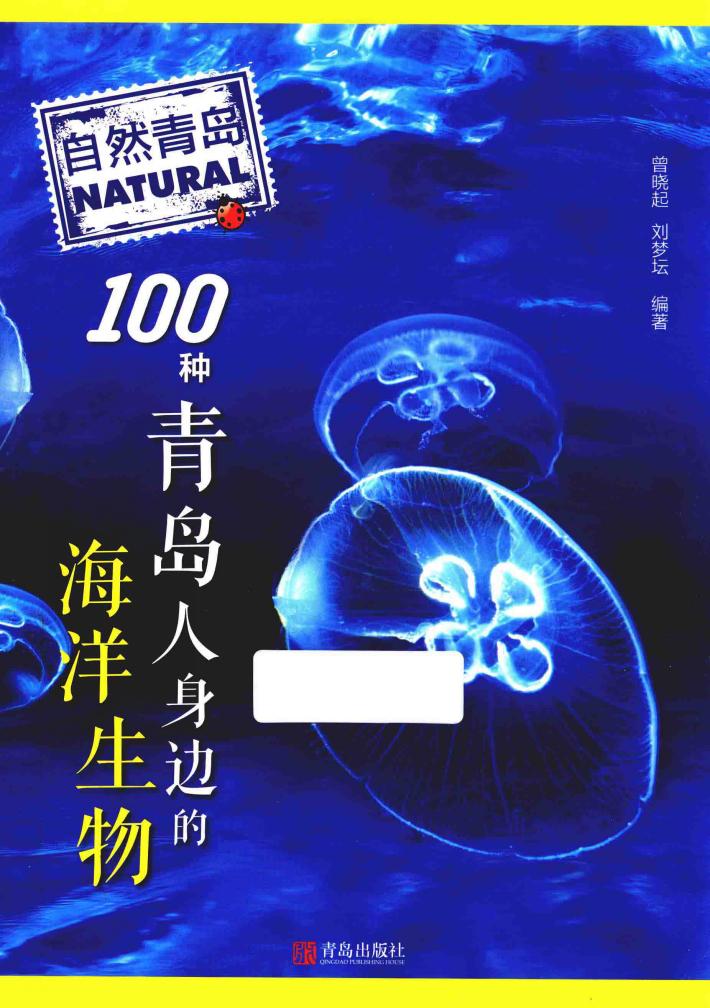 自然青岛  100种青岛人身边的海洋生物 封面