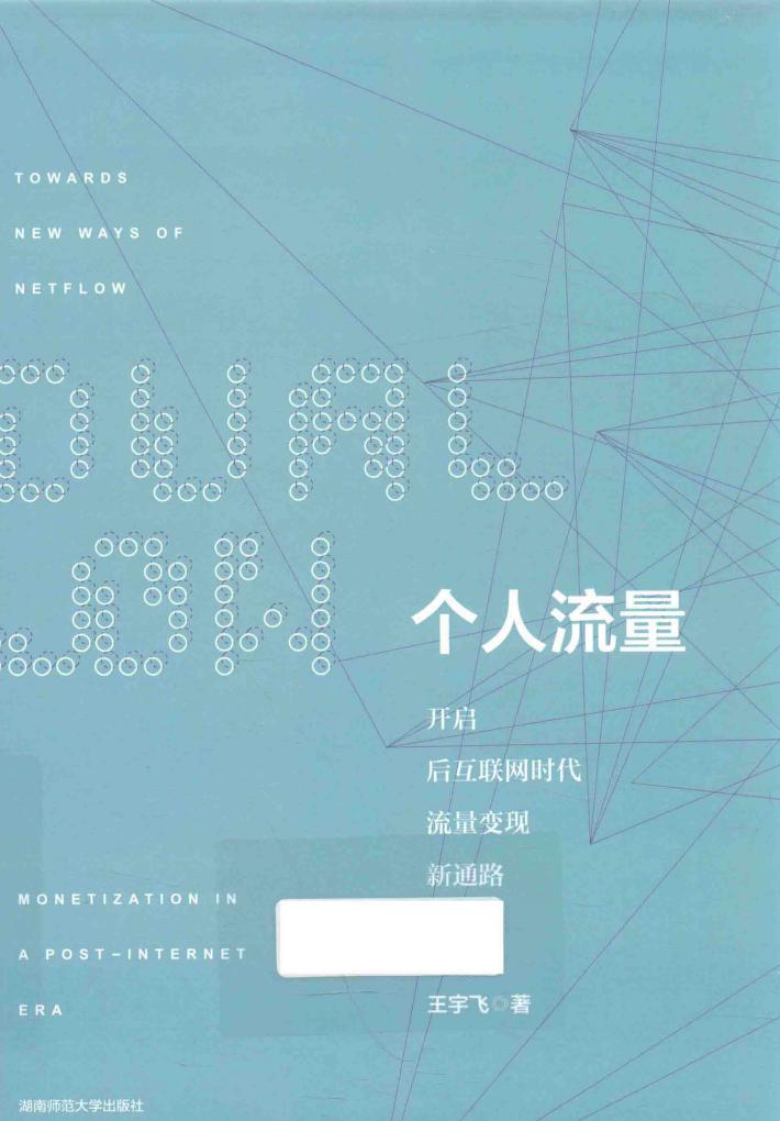 个人流量  开启后互联网时代流量变现新通路 封面