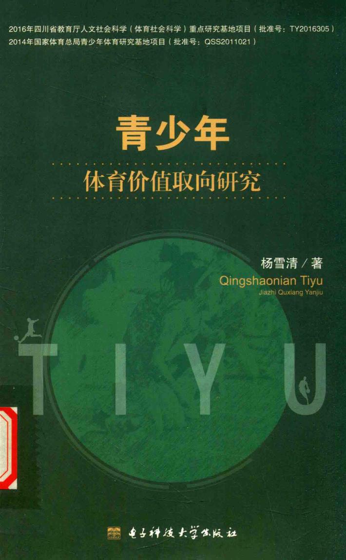青少年体育价值取向研究 封面