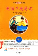 爱丽丝漫游记 封面