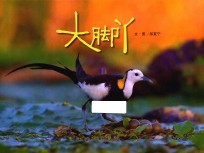 大脚丫 封面