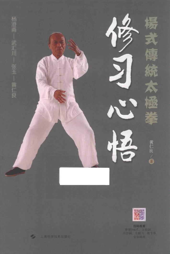 杨式传统太极拳  修习心悟 封面