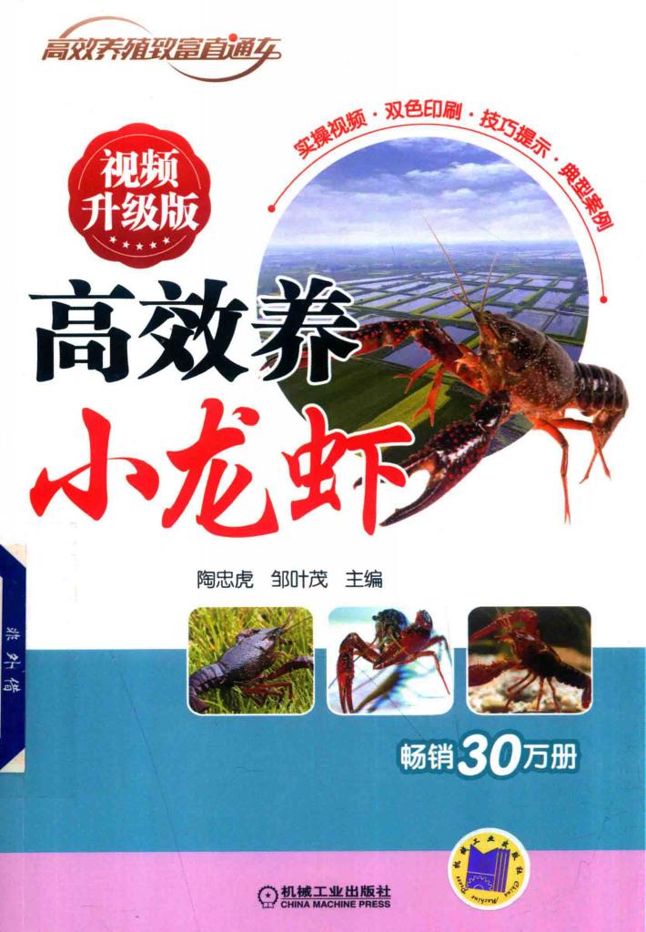 高效养小龙虾 视频升级版 封面