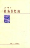 散漫的思绪 封面