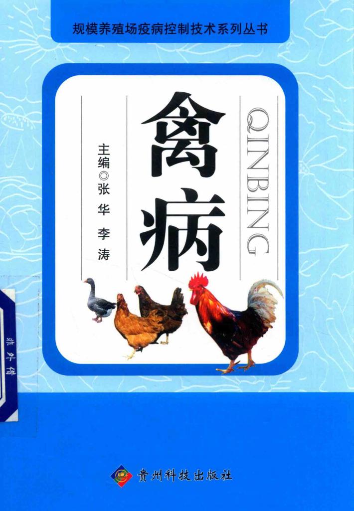 规模养殖场疫病控制技术系列丛书  禽病 封面