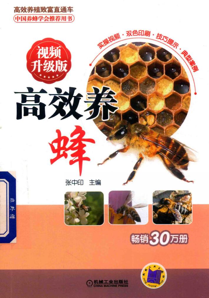 蜜蜂养殖技术大全书籍 高效养蜂 视频升级版 封面