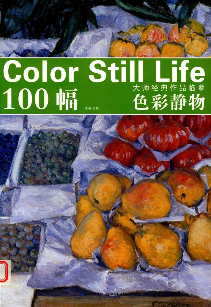 100幅大师经典作品临摹  色彩静物 封面