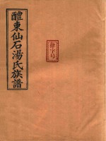醴东仙石汤氏族谱  1 封面