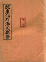 醴东仙石汤氏族谱  8 封面